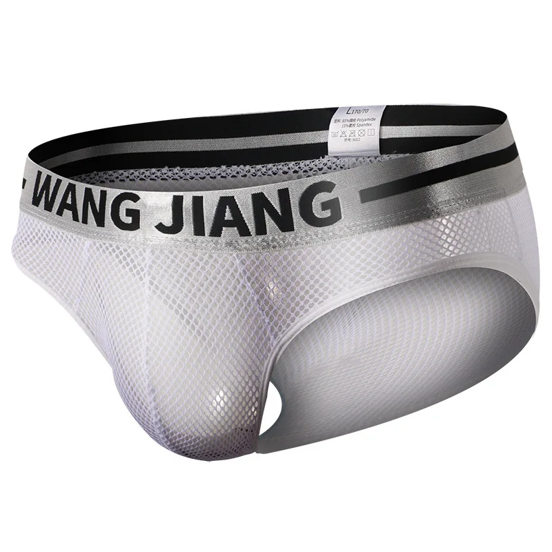 

Men's Briefs Ice Wire Mesh Breathable Stretch Comfortable Panties Sexy Shorts