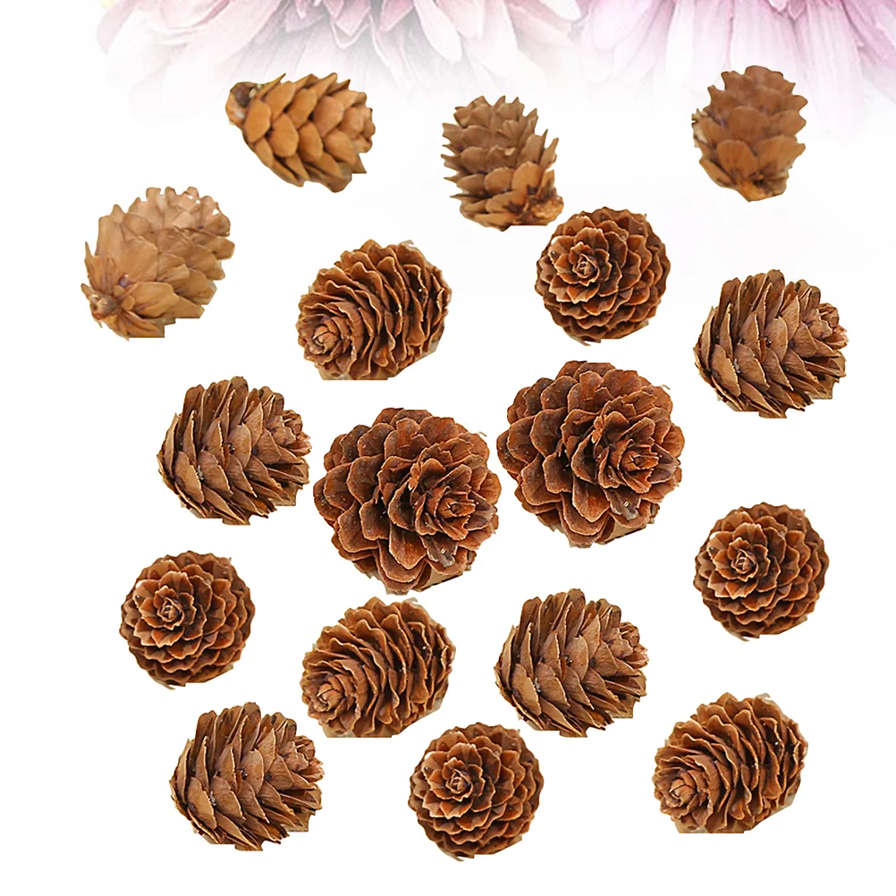 210 шт. сосновые шишки для фотографий декор растений рождественские украшения