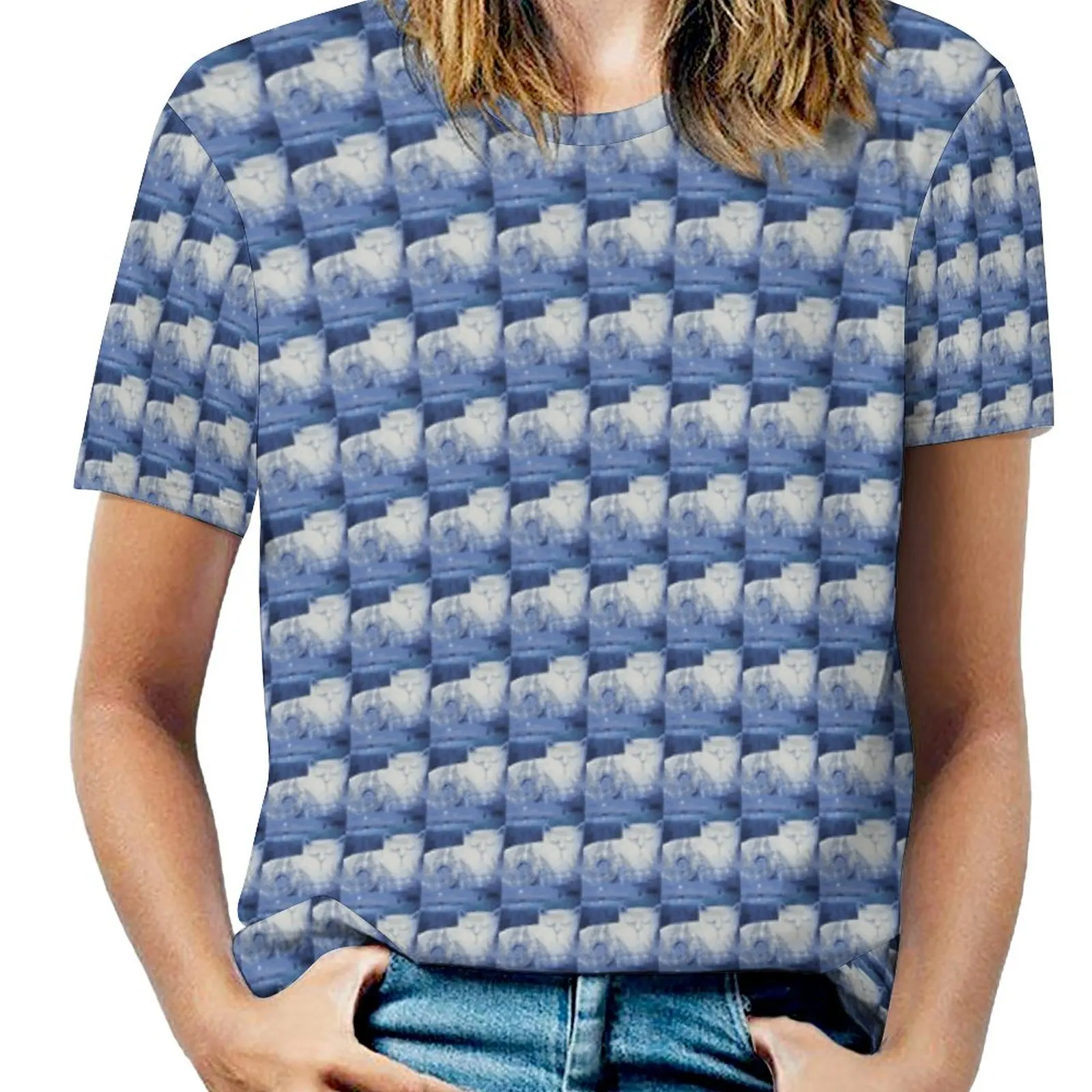 Слепой белый кот на лунной ночи. Женская футболка с круглым вырезом повседневные