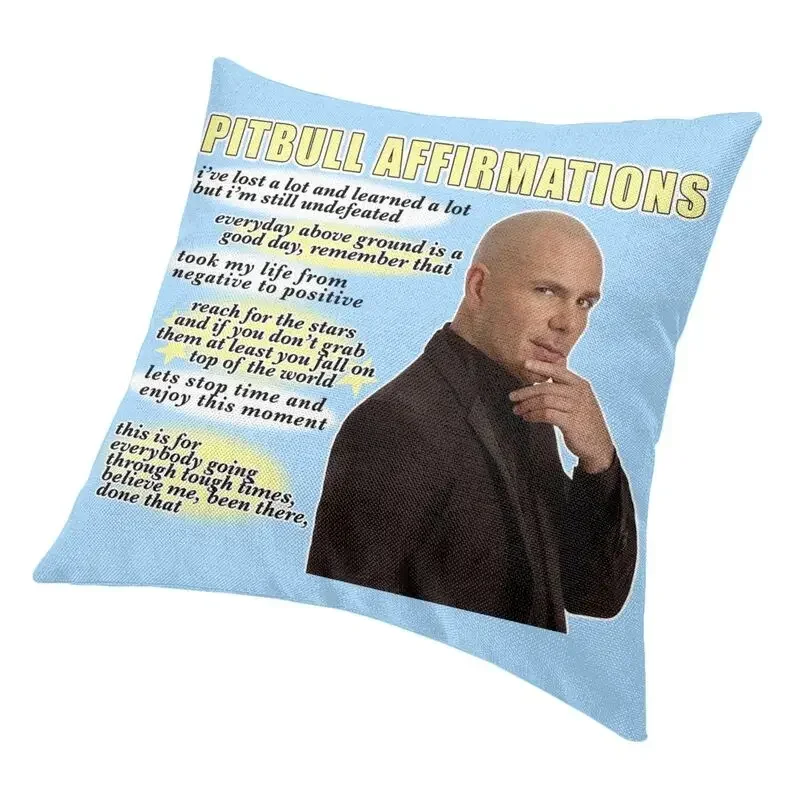 Современная декоративная наволочка для подушки в виде картинки Мистер по всему