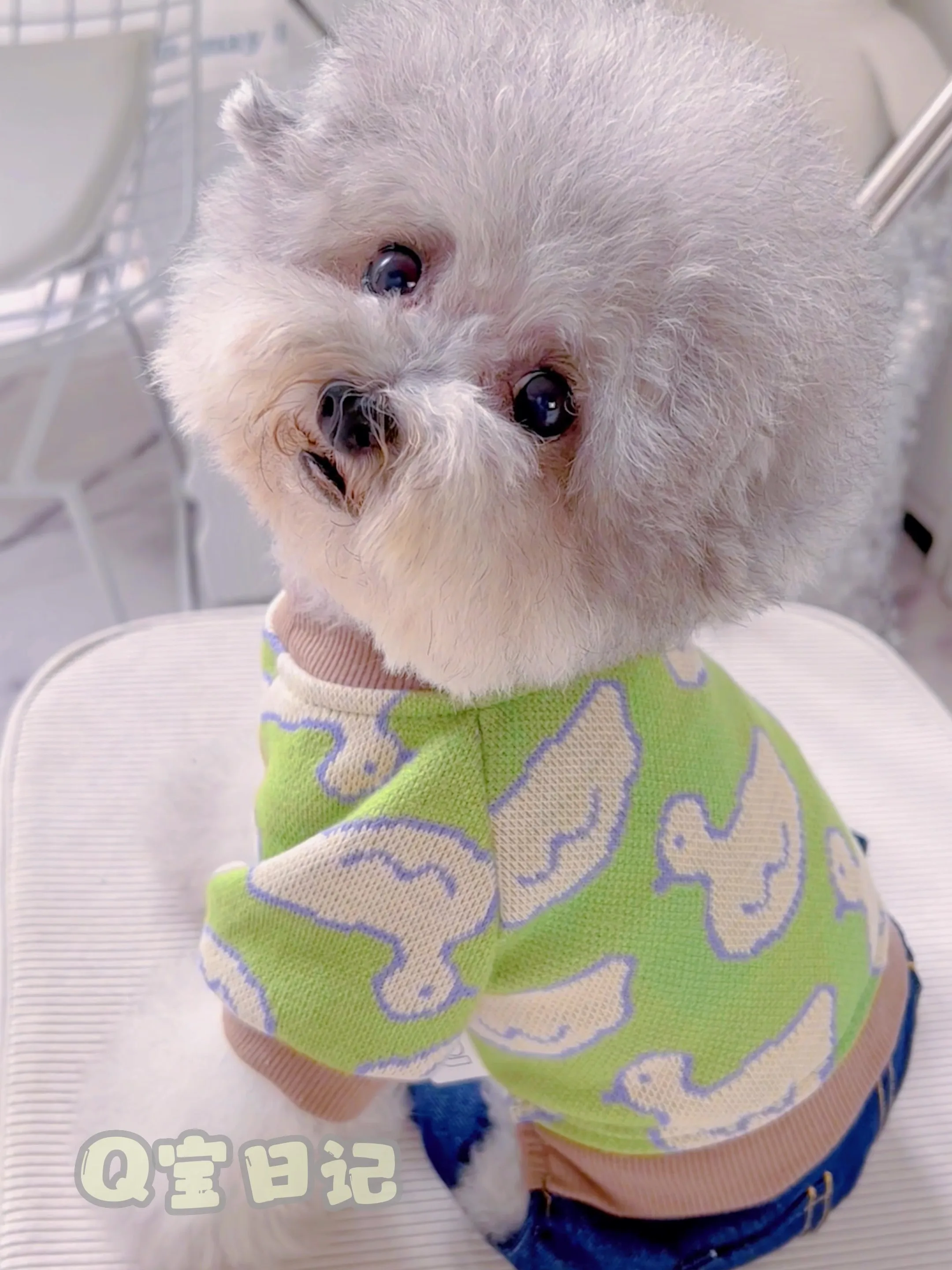 

Pet than Bear Schnauzer Teddy Dog Dog Clothes Autumn and Winter Dress Autumn Genuine Duck Cowboy Quadruple Sweater