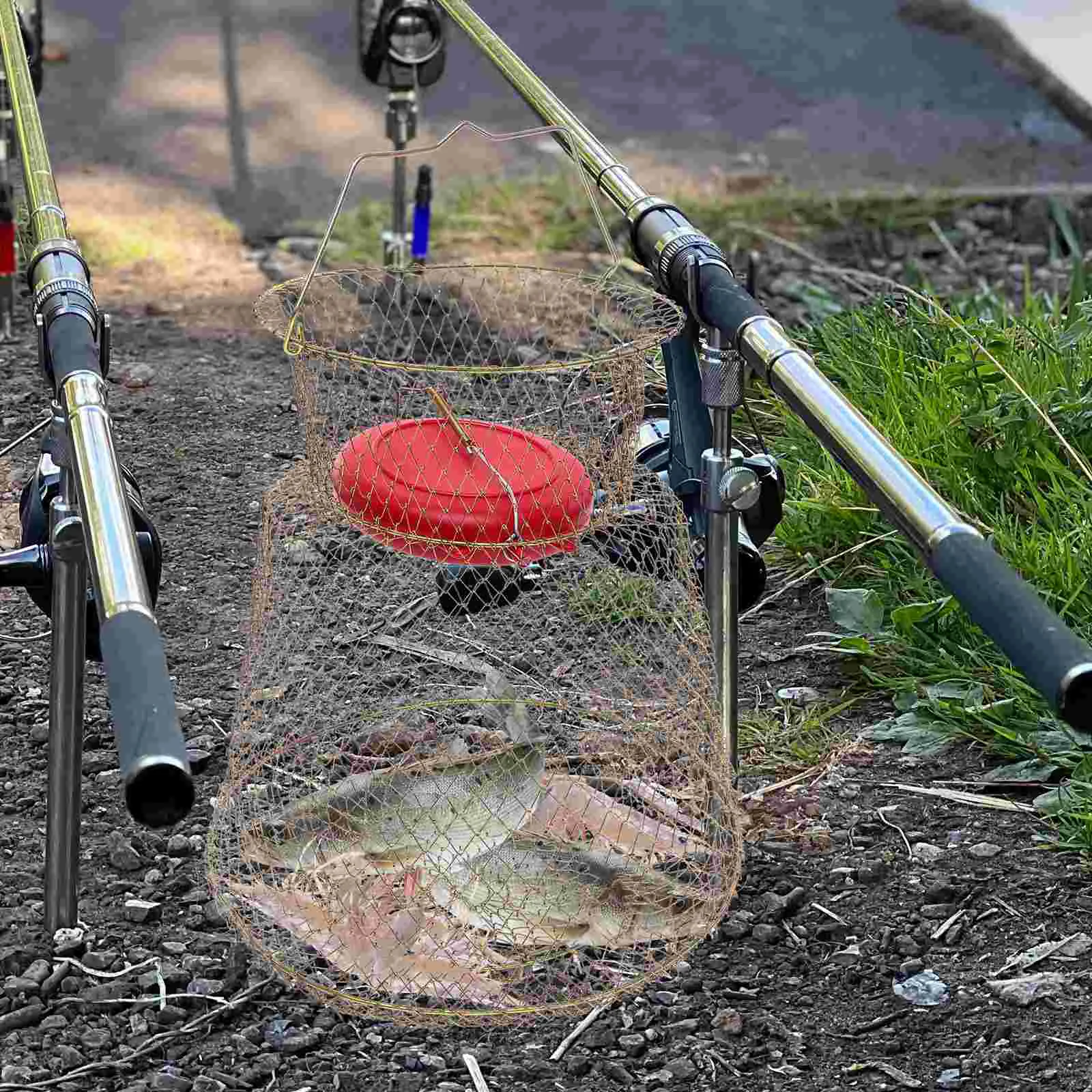 

Fish Basket Fishing Catch Netting Iron Mesh Collapsible Wire Wear-resistant Cage Folding Tank