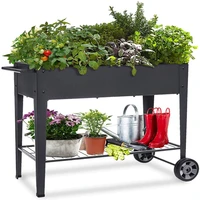 vegetables flowers herbs succulents outdoor garden bed pots with legs and wheels