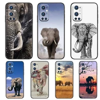 cute elephant for oneplus nord n100 n10 5g 9 8 pro 7 7pro case phone cover for oneplus 7 pro 17t 6t 5t 3t case