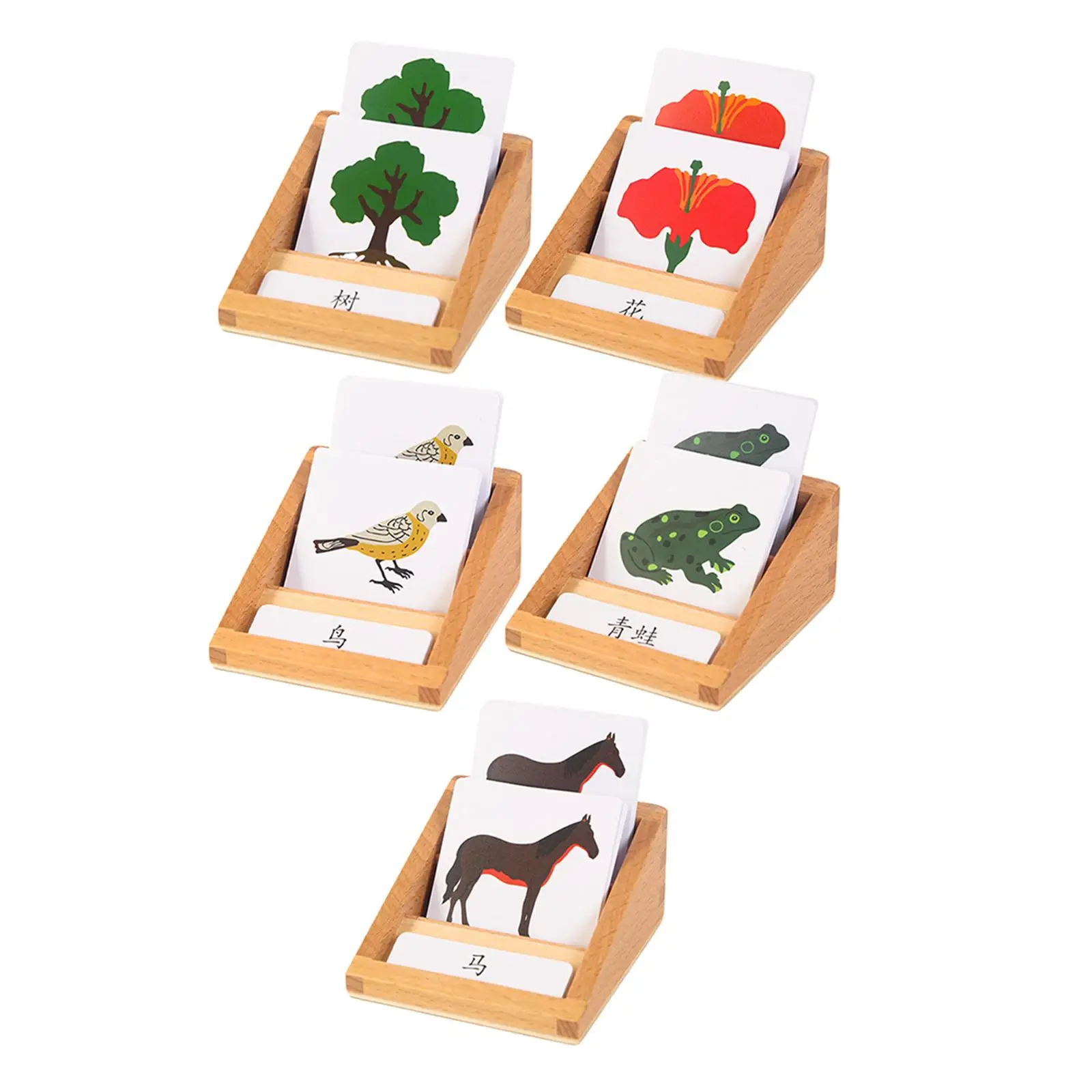 

Realistic Animal and Plant Three Segment Card Classroom Toys for Toddlers