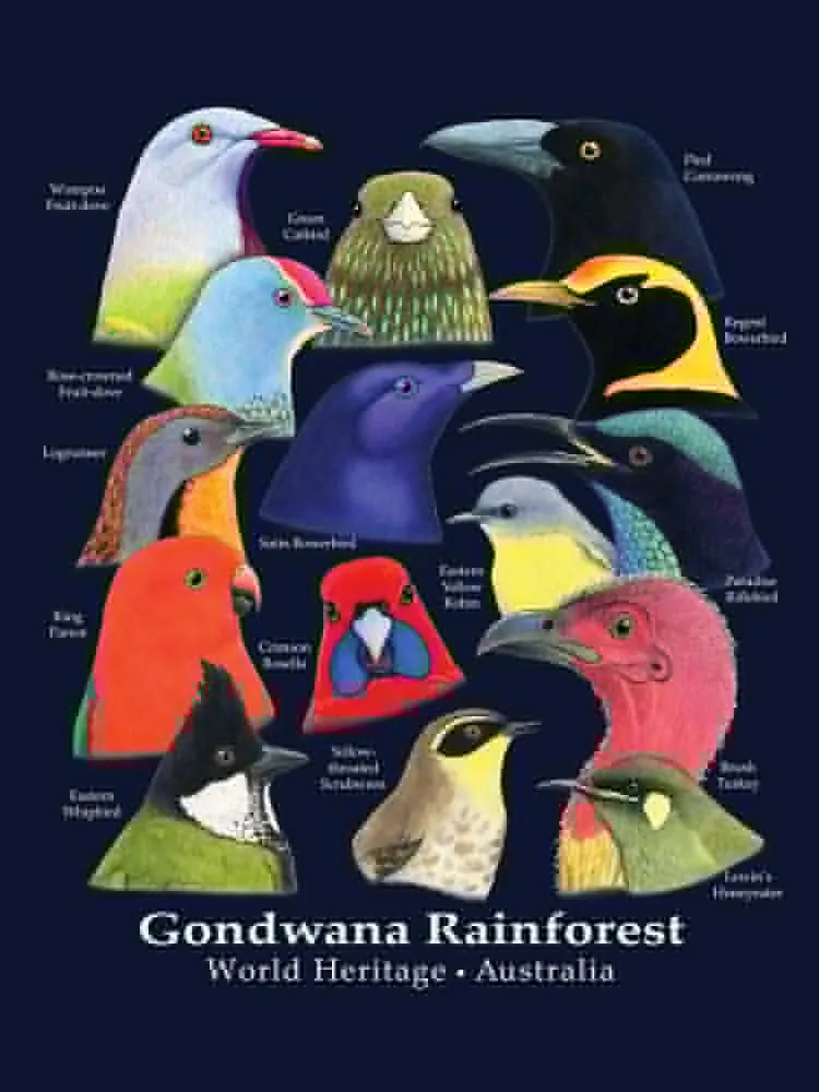 Gondwna джунглей птицы Австралии сбор средств для BirdLife австралийская Классическая