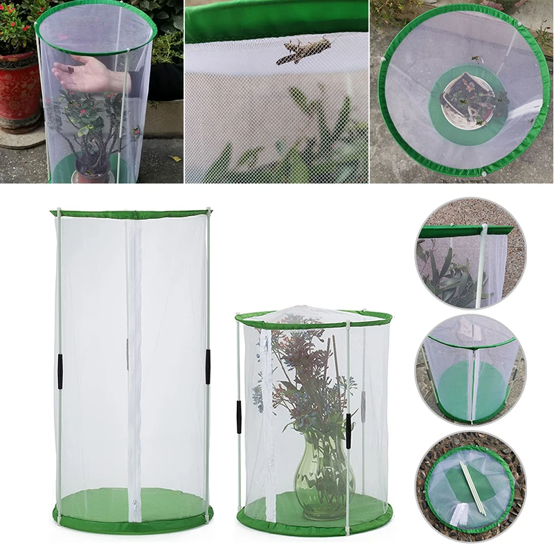 

Butterflies Habitat Cage Visible Insect Cage Insect Observation Cage