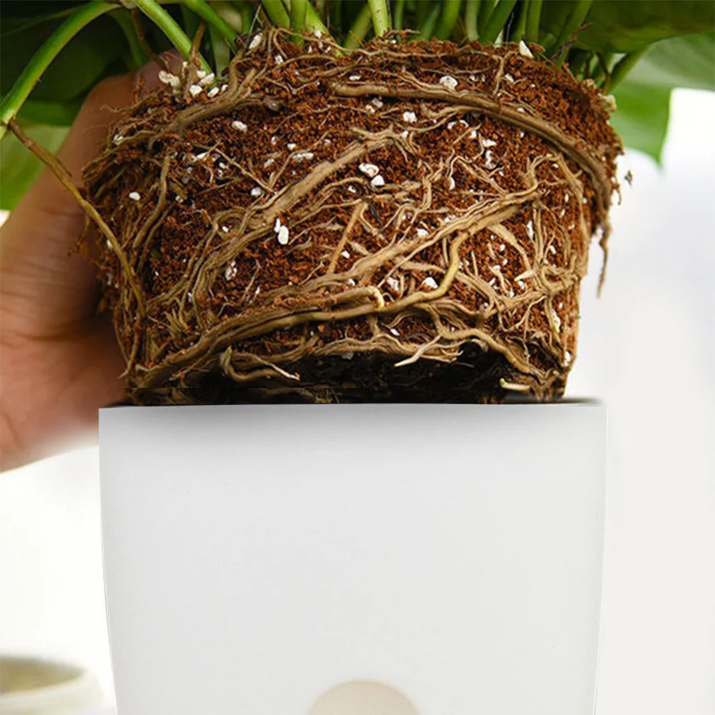 

Transparent Double Layer Plastic Flower Pot Self Watering Flowerpot Cotton Rope Watering Small Plant Pot With Injection Port