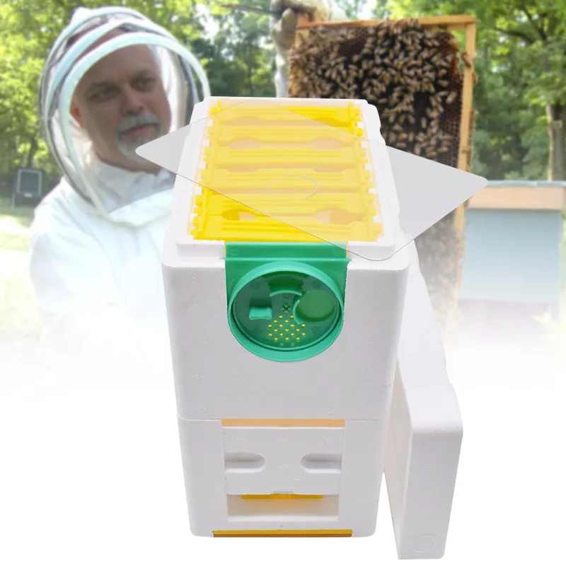 

Beekeeping Queen Breeding Rearing Box Beekeeping Supplies Bee Harvest Beehive Foam Double-layer Full Set YE-Hot