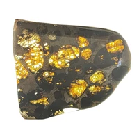 perfect olive meteorite slice collection serico kenya olive meteorite natural sky iron meteorite material specimen slice