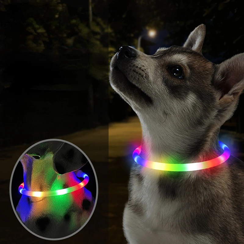 Ошейник коллар светодиодный. Светящийся ошейник для собак. Светящийся ошейник для собак с подзарядкой. Светящийся ошейник для собак. Светящийся ошейник usb camouflage.