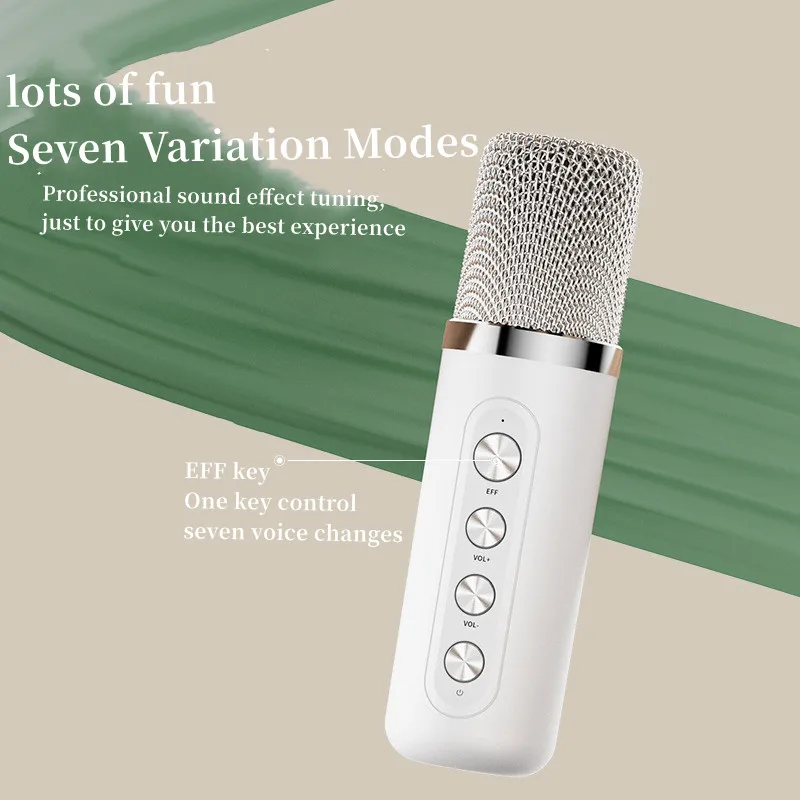 YS-219 Portable Household KTV Bluetooth Speaker Set 100W Peak Power Outdoor Subwoofer Blue Music Box With Mini Wireless Dual Mic |