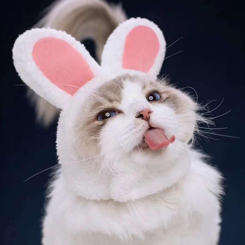 Cat Rabbit Ears Headgear Puppy Pet Cat Headwear Dog Cat Costume Cat Accessories Pet Birthday Headgear All Season Pet Headwear