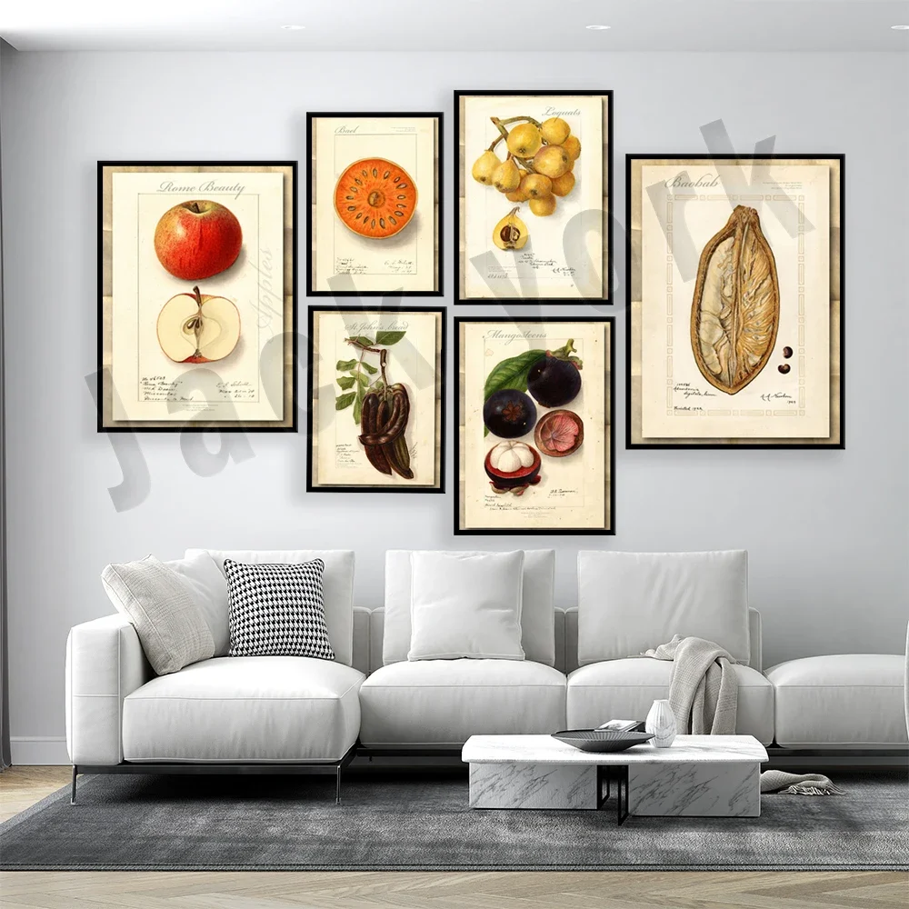 Vintage Watercolor Apple Loquat Mangosteen Baobab Canvas Print Poster Botanical Art Antique Picture Wall Decor Gift