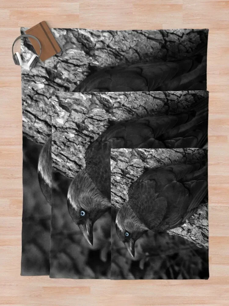 Черное одеяло в клетку из фланели