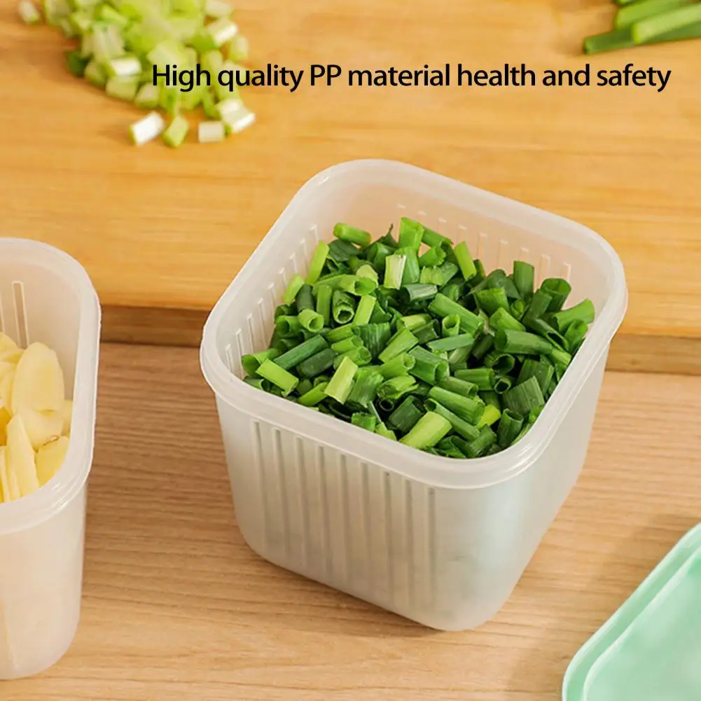 

Simple with Clip Moisture-proof Large Capacity Food Organizer Box Washable Fresh-keeping Case Restaurant Accessory