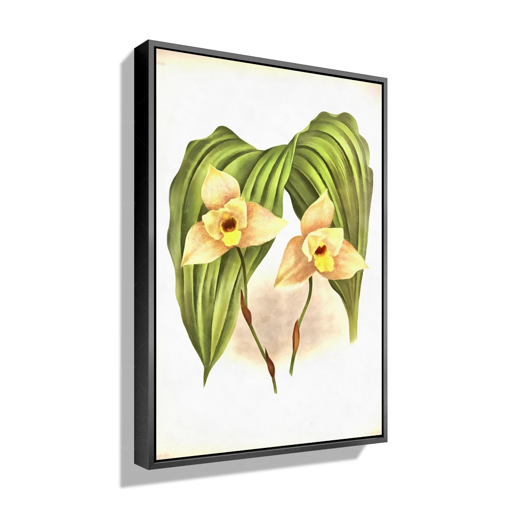 

Цветочная печать Forbeauty, добавьте яркого и яркого цвета вашему домашнему декору