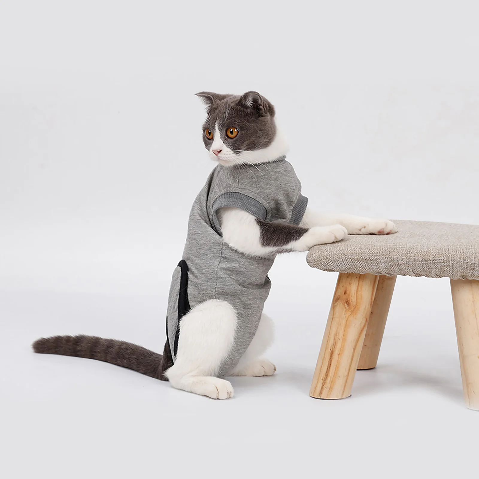 

1 шт., костюм для котят