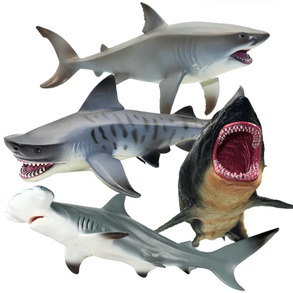 

Simulation Marine Life Animal Model Toy Giant Tooth Shark Killer Whale Blue Whale Animal Shark Model Educational Toy Boys Gifts