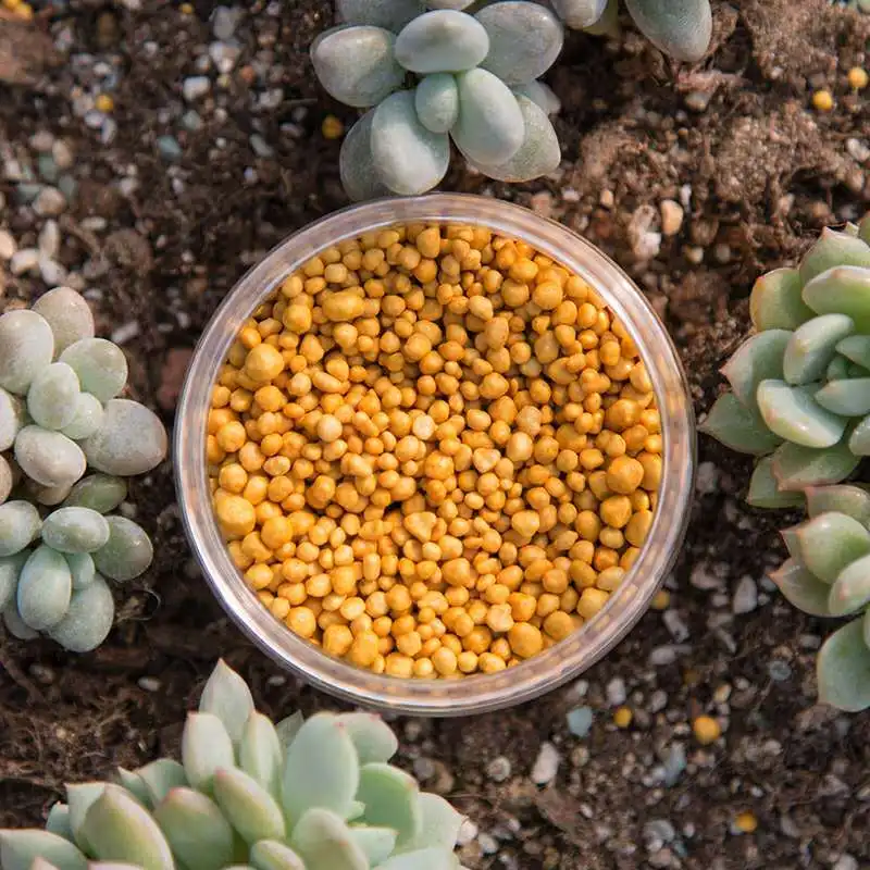 

Slow-release Orchid Granular NPK Fertilizer Succulent Flower Plant Fertilizer