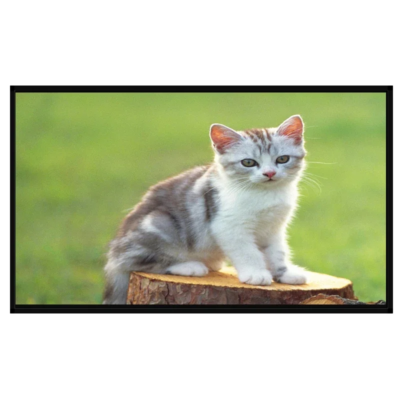 Цифровой дисплей с сенсорным экраном Wi-Fi