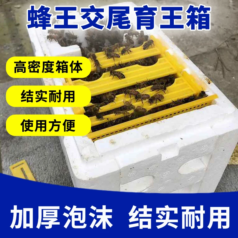 Foam Bee King Box Queen Bee Hand Tail Box Insulation Three-Frame Hive King Bee Special Type Beekeeping Tools