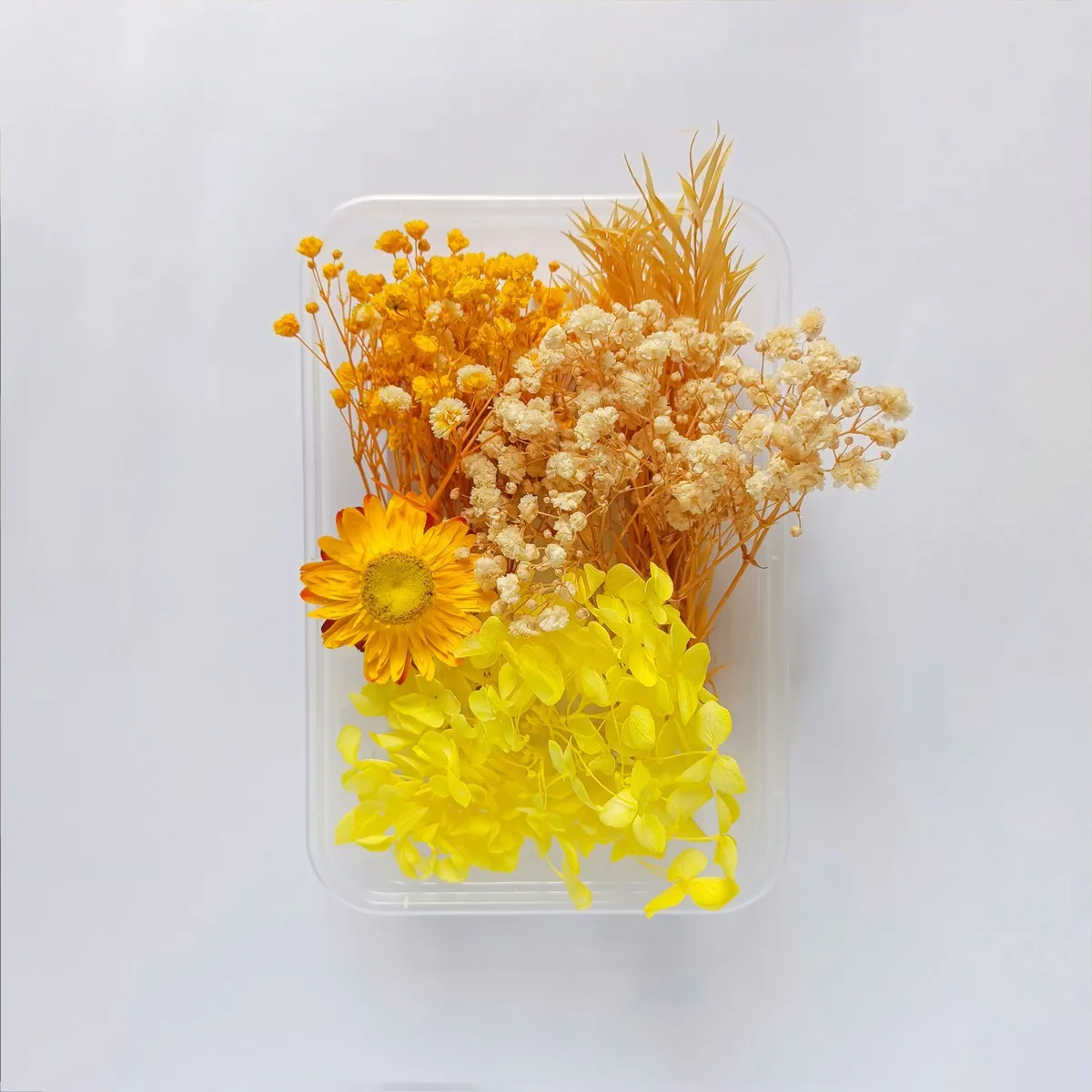 

Real Dried Pressed Flowers for Resin Molds,Dry Flowers for Resin Epoxy Jewelry Nail Art Pendant Crafts Candle Making Nails Décor