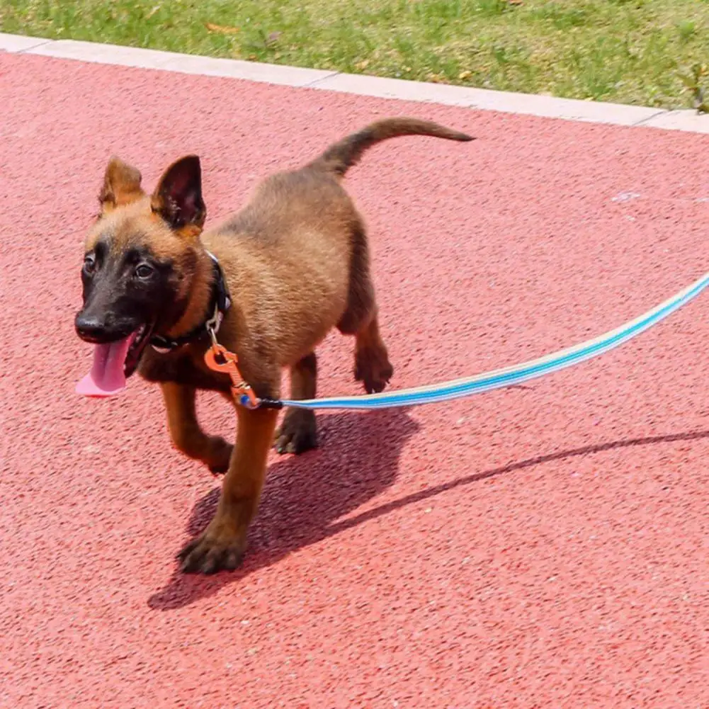 

1 Set Durable Lightweight Metal Hook Pet Dog Puppy Walking Traction Leash with Collar Pet Supplies Dog Leash Pet Leash