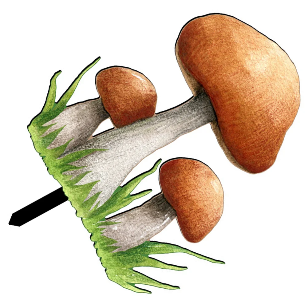 

Искусственное украшение, внешний декор, значок на колышке, декоративная вставка в форме гриба, украшения