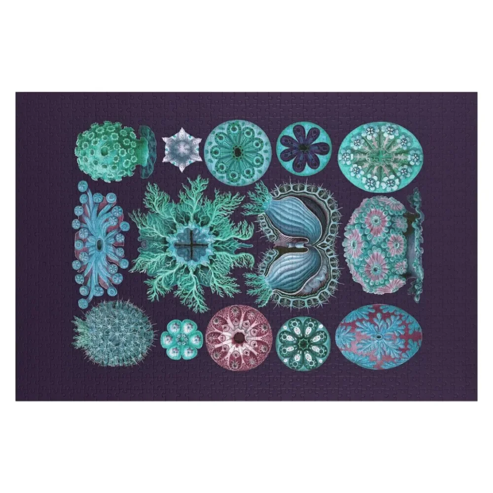 Ernst Haeckel Ascidiae Морские белки Бирюзовый цветной пазл Деревянные фото