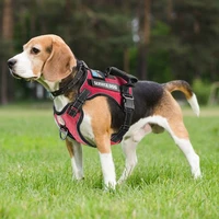 explosion proof shock absorbing pet chest strap nylon reflective adjustable dog vest type traction chest strap