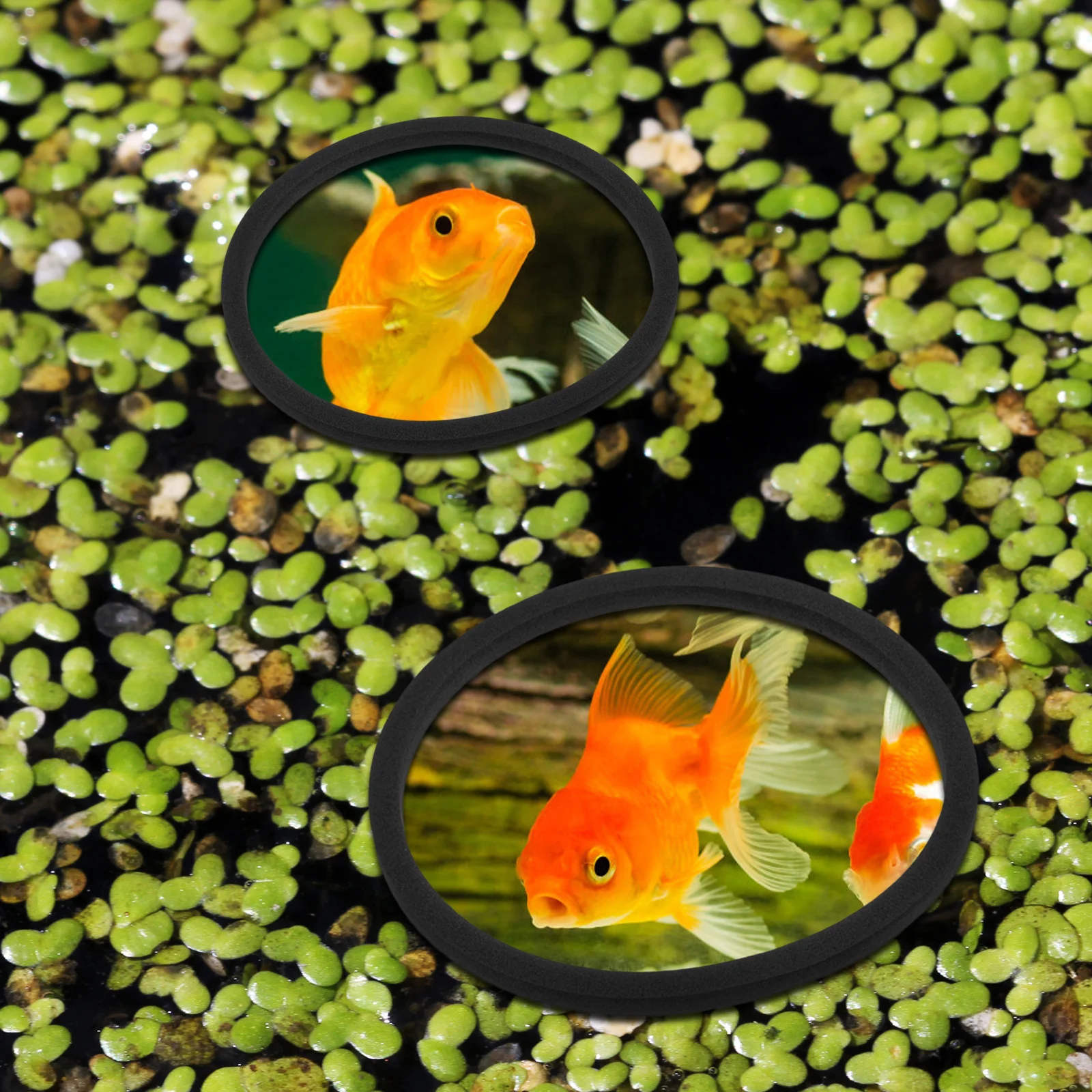 5 шт. стопорное кольцо для травы аквариума кольца растений перехватывающие