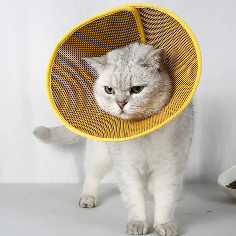 

Convenient Cat Collar Waterproof Cat Headgear Easy to Wear No Restraints Pet Recovery Collar Anti-bite