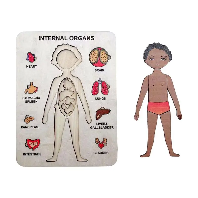

Детали для тела, пазл для малышей, обучающий человеческий тело, пазл, детали для тела, игрушка для дошкольного обучения и обучающие игрушки