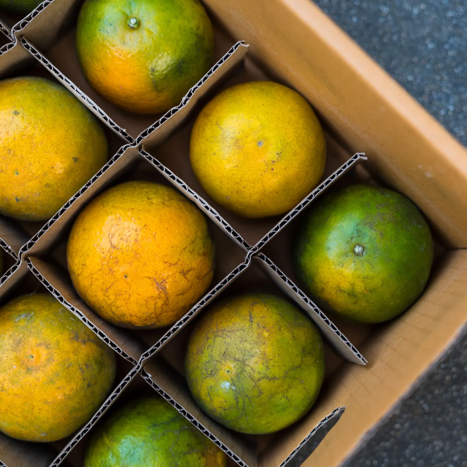 Фото Упаковочные коробки для переезда: картонные разделители-вкладыши для посуды и стеклянной тары №4