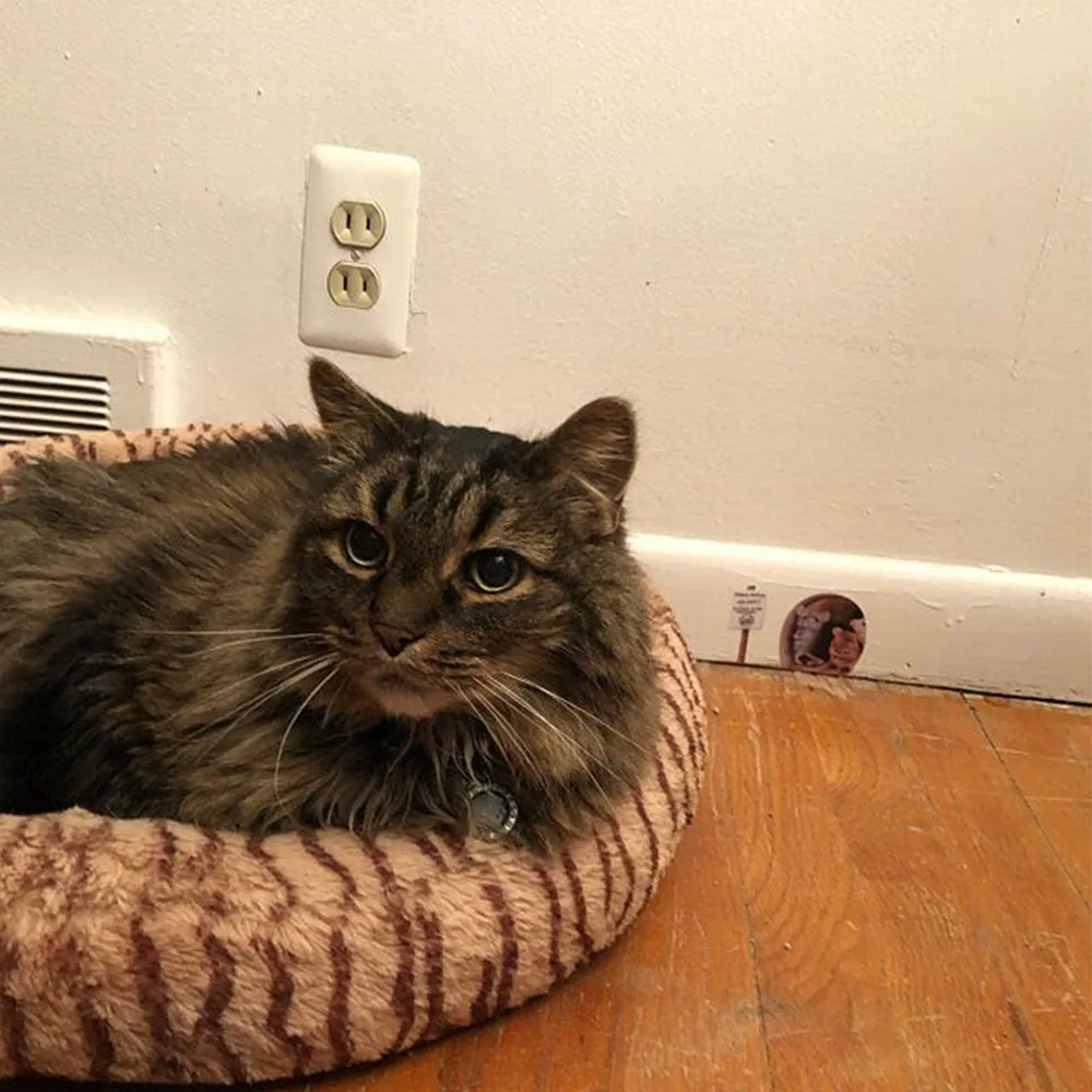 Забавные настенные наклейки с отверстиями для мыши спальни кухни домашний декор