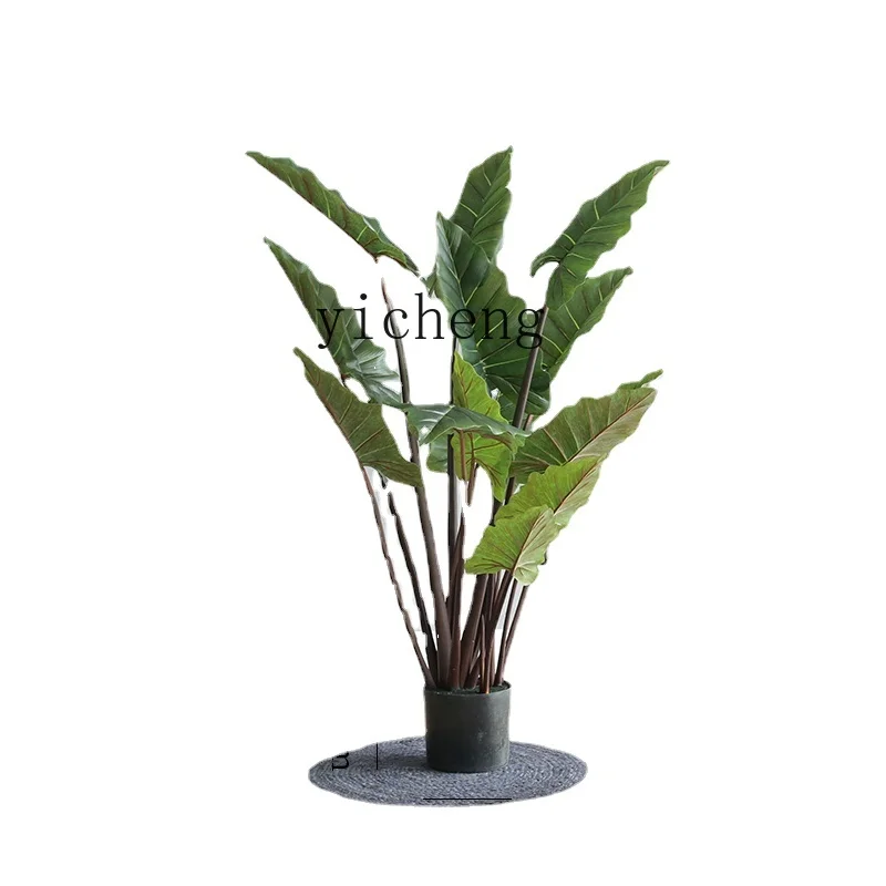 

YY Nordic Simulation Hawaiian Rainbow Tree Large Green Plant Decoration Bonsai Decoration