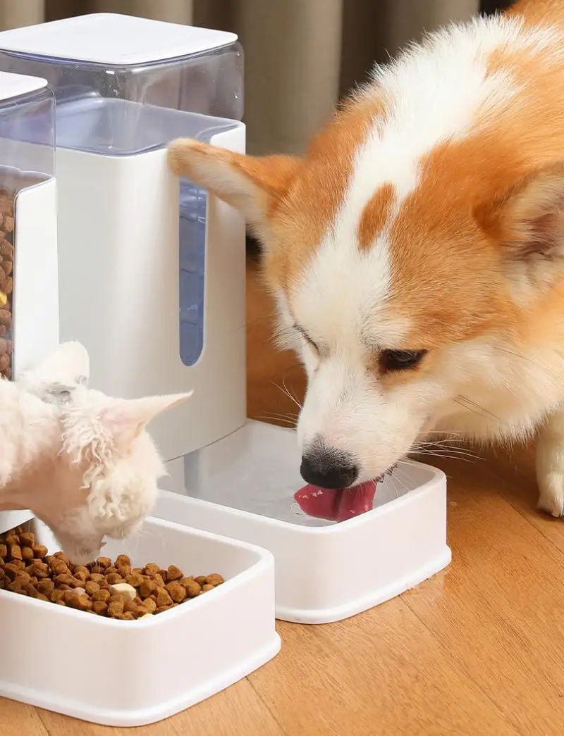 

Double Bowl Automatic Feeder Drinking Fountain Dog Bowl Cat Bowl Pet Dog Feeding Water Dispenser Cat Water Feed Pet Supplies