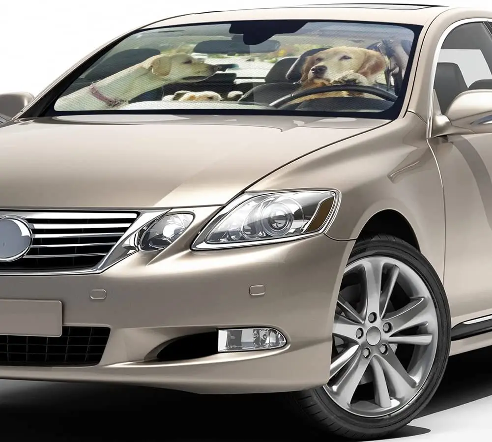 Рисунок 3 - Автомобильный солнцезащитный козырек для лета