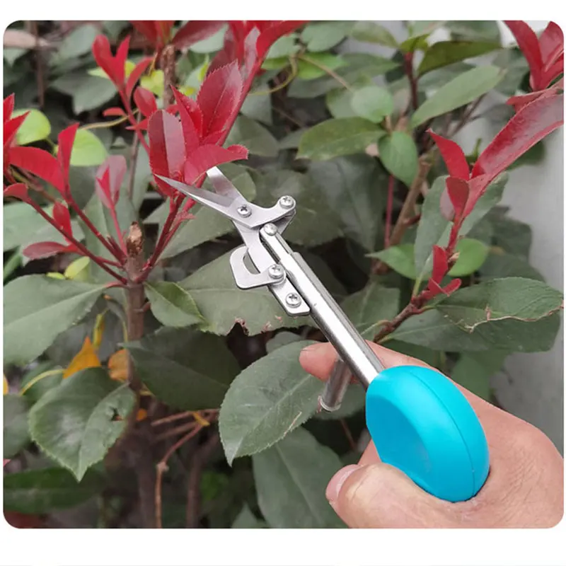 

New Pointed Garden Shears Garden Manual Pruning Tools Garden Hoseswater Spikes Fruit Picking/cutting Bud Tip/flowering Scissors