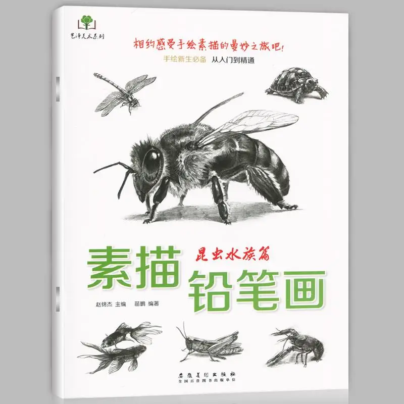 

Sketch Pencil Drawing Insect Aquarium Chapter Sketch Drawing About Goldfish Dragonfly Turtle Other Art Drawing Books