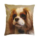 Квадратная Подушка-чехол для автомобиля с принтом, с двусторонним рисунком