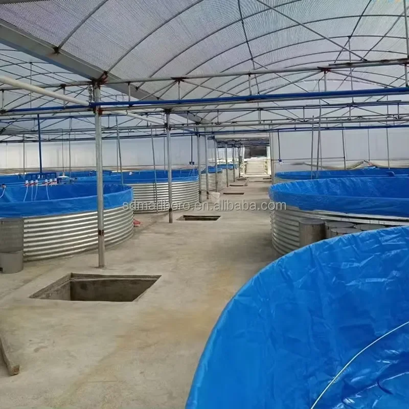 Индивидуальные резервуары для аквакультуры RAS из ПВХ и оцинкованной стали для разведения рыбы, биофлок-системы, выращивания рыбы и креветок (art.: 3920db9cf91bf) - 3920db9cf91bf