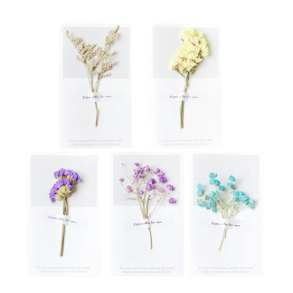 

10pcs Greeting Babysbreath Dried Flower Gift Greeting for Teachers' Day
