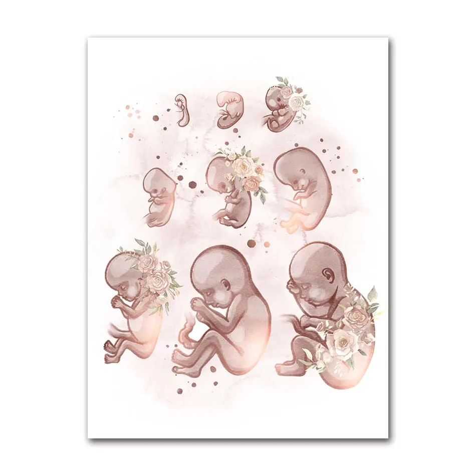 

Женская анатомия, плодородия, беременность, постеры, принты, холст, картина, настенная художественная картина, гинекология, акушерство, украшение, фреска, подарок