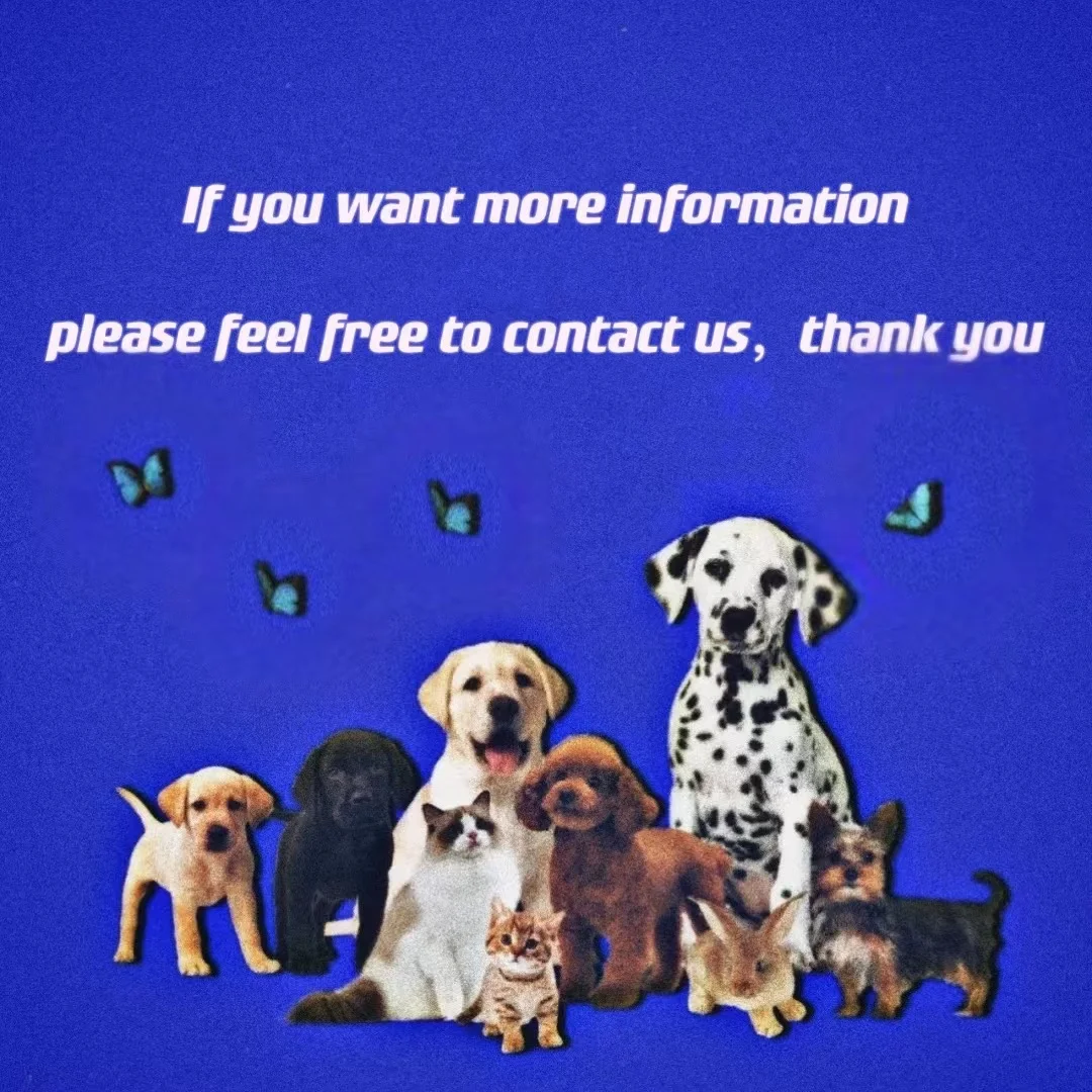 Одежда для домашних животных летняя рубашка собак кошек черная футболка с