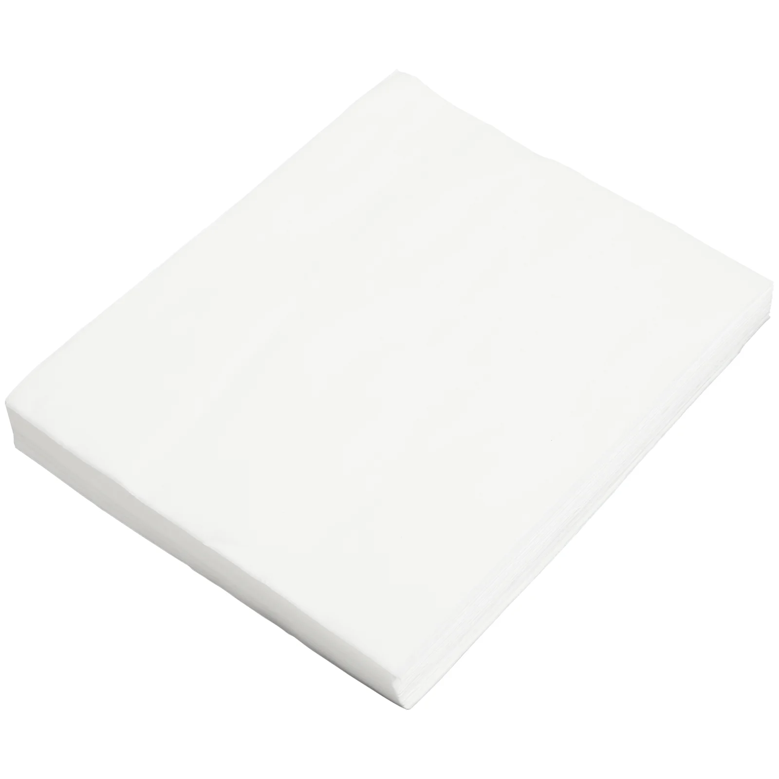 

100 Pcs Disposable Underpads Parrot Pee Mat Pet Cage Liner Bird Urine Cloth Liners Cushion White Mats