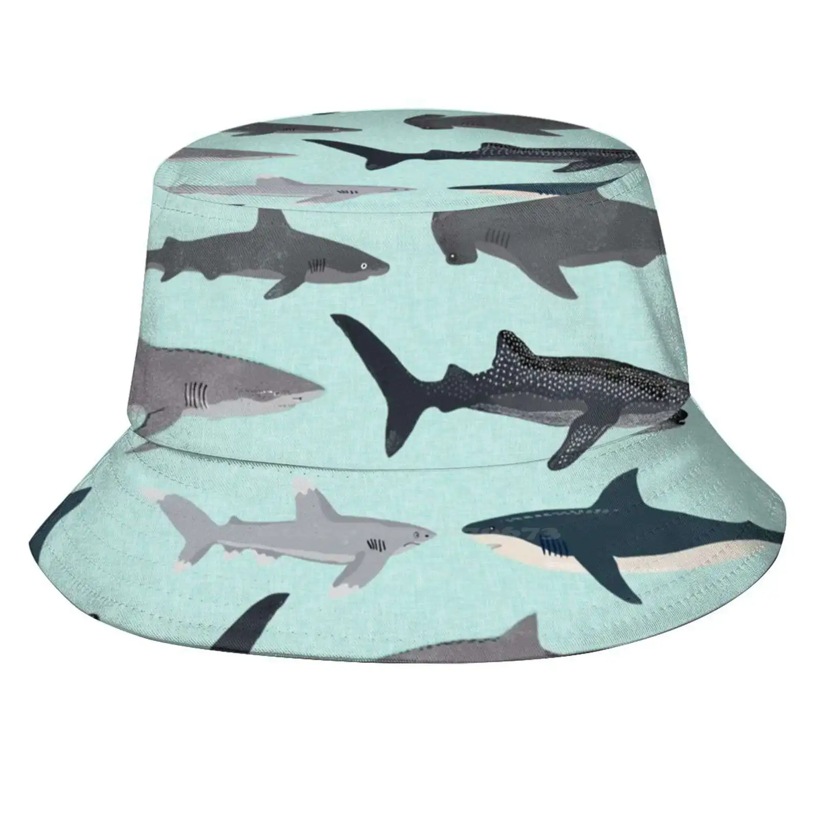 

Акулы, иллюстрация, Художественная печать, океан, морская жизнь, животные, морской биолог, дети, мальчики, пол нейтральный, Андреа