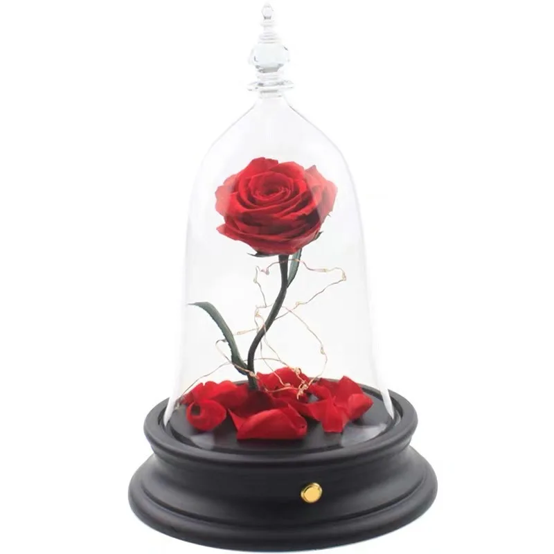 

Amazon Best Sellers Factory Wholesale Beauty and The Beast Customized Plate Preserved Rose in Glass Dome