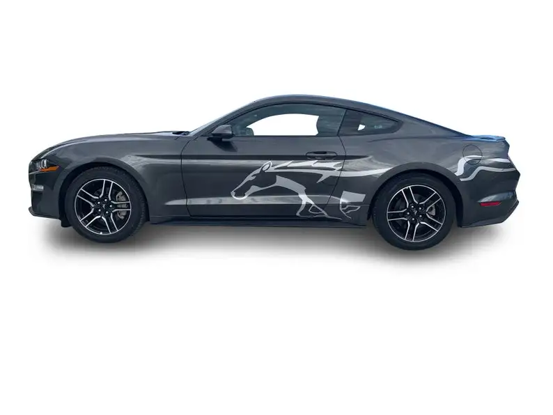 

Fits Ford Mustang Side Freedom Graphics Vinyl Auto Stripes 3M Decals And Stickers 2015-2022